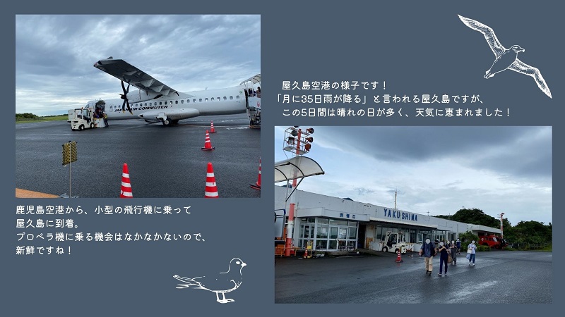 屋久島空港と飛行機