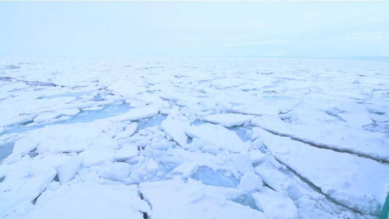 一面の流氷の写真