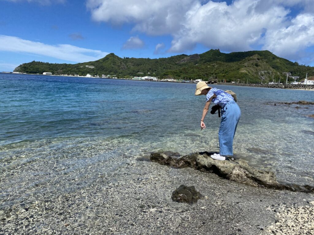 父島の海の写真