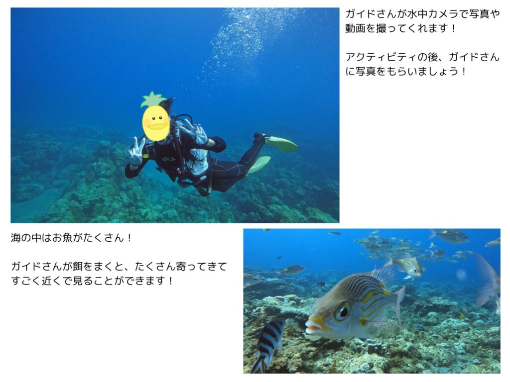 小笠原父島でのダイビングの写真