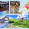 山口1泊2日の旅の様子。昭雲堂、萩焼、サファリランド、秋吉台、居酒屋 銀などの写真。
