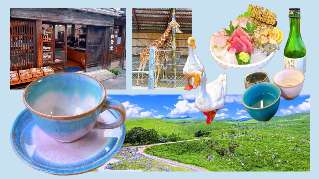 山口1泊2日の旅の様子。昭雲堂、萩焼、サファリランド、秋吉台、居酒屋 銀などの写真。