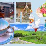 山口1泊2日の旅の様子。昭雲堂、萩焼、サファリランド、秋吉台、居酒屋 銀などの写真。