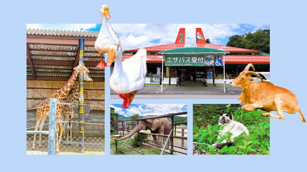 秋吉台自然動物公園サファリランドの建物と、キリン、アヒル、ゾウ、ネコ、ヤギなどの動物。