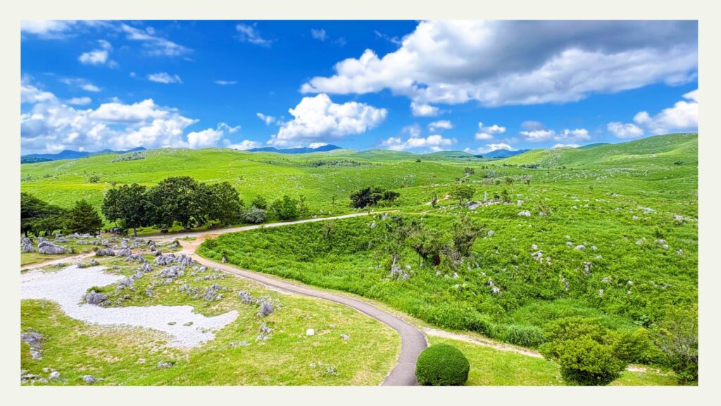秋吉台カルスト展望台から見渡すカルスト台地の全景。白い石灰岩が広がる高原。